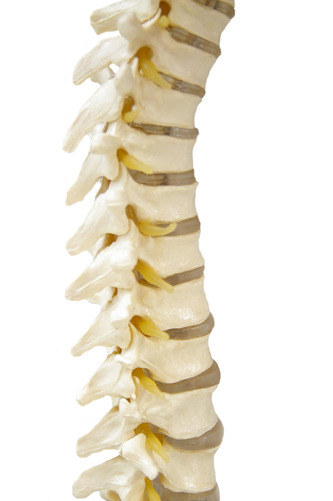 Back-Pain-from-Car-Accident-Bonney-Lake-WA